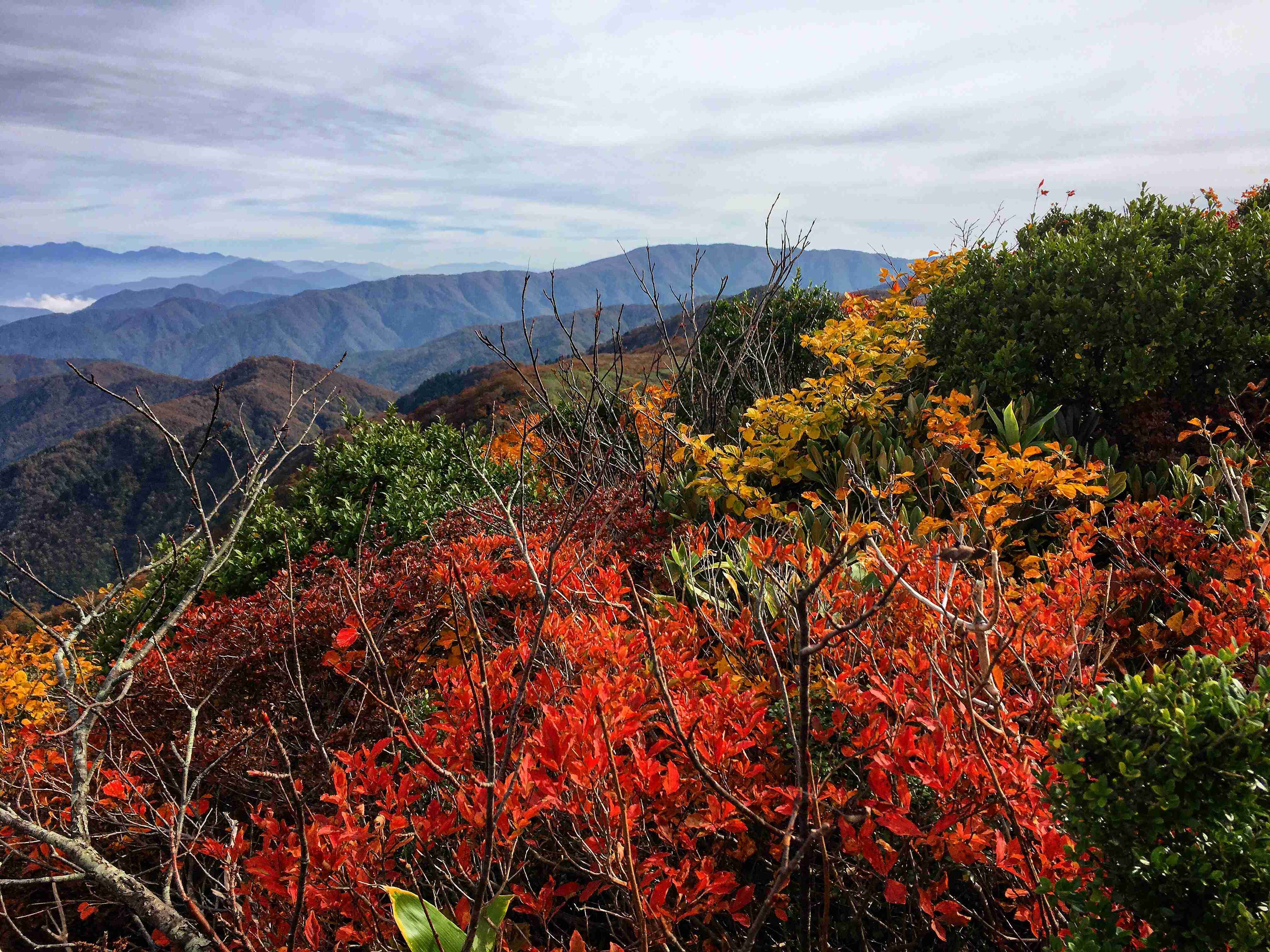 🏞️ 관산 종합공원 (간무리야마 소고 코엔) 이미지 11